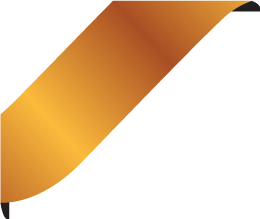 Subsidiary Company Element